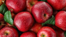 Many ripe juicy red apples covered with water drops as background